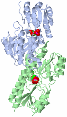 Image Asym./Biol. Unit