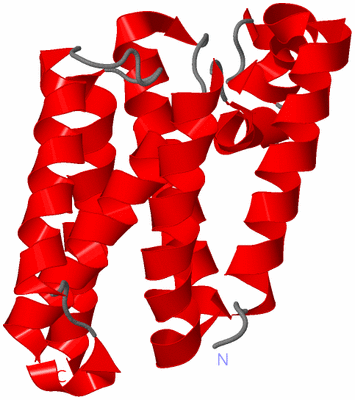 Image Asymmetric Unit