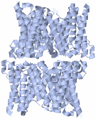 Image Biological Unit 3