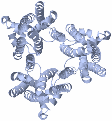 Image Biological Unit 4