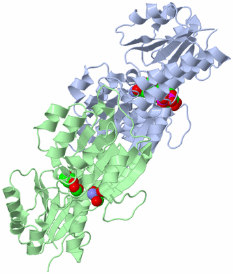 Image Asym./Biol. Unit