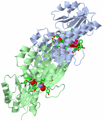 Image Asym./Biol. Unit - sites