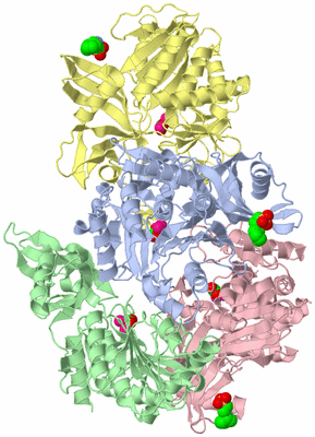 Image Asymmetric Unit