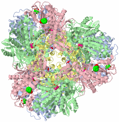Image Biological Unit 1