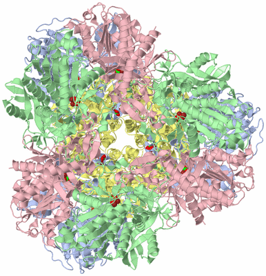 Image Biological Unit 1