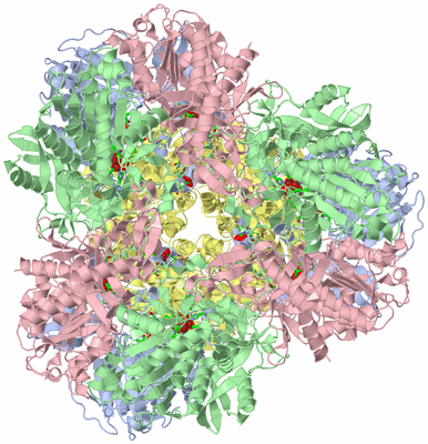 Image Biol. Unit 1 - sites