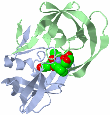 Image Biological Unit 1