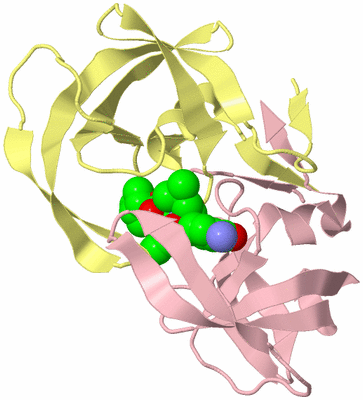 Image Biological Unit 2