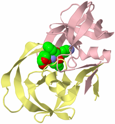 Image Biological Unit 2