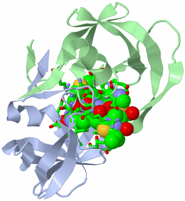 Image Biol. Unit 1 - sites