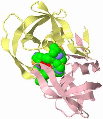 Image Biological Unit 2