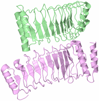 Image Biological Unit 2