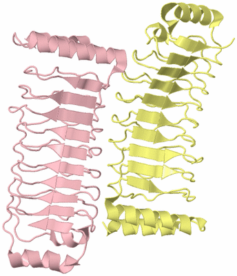 Image Biological Unit 3