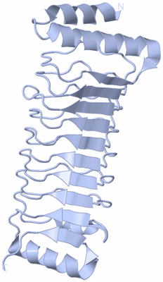 Image Biological Unit 4