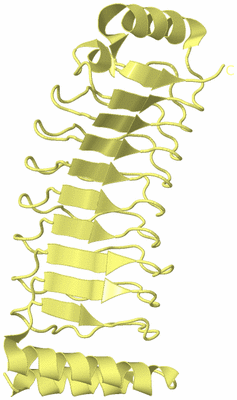 Image Biological Unit 7