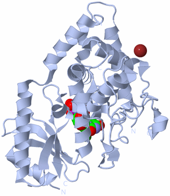 Image Biological Unit 1