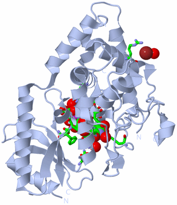 Image Biol. Unit 1 - sites