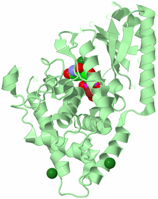 Image Biological Unit 2