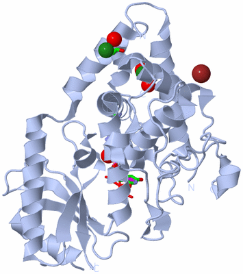 Image Biol. Unit 1 - sites