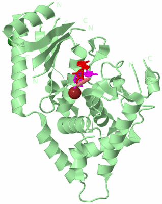 Image Biological Unit 2