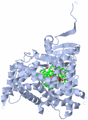 Image Biol. Unit 1 - sites