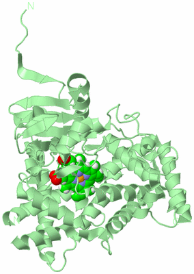 Image Biological Unit 2