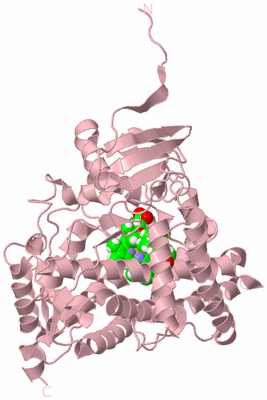 Image Biological Unit 3