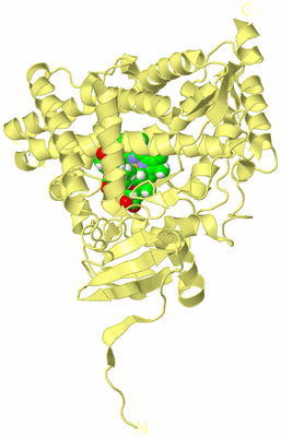 Image Biological Unit 4