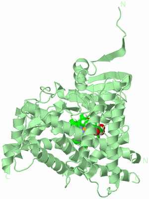 Image Biological Unit 2