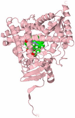 Image Biological Unit 3