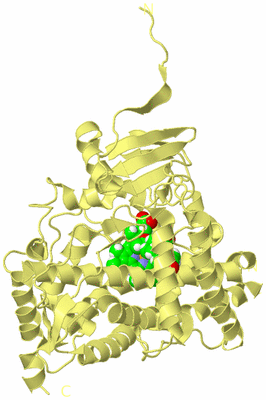 Image Biological Unit 4