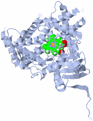 Image Biological Unit 1