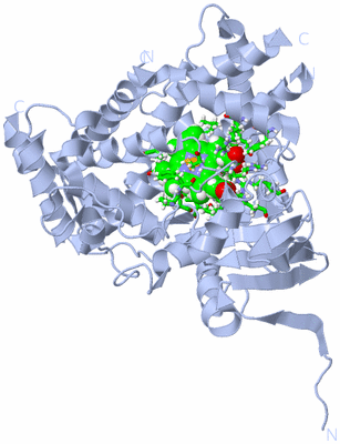 Image Biol. Unit 1 - sites