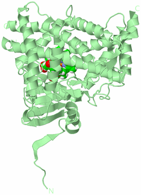 Image Biological Unit 2