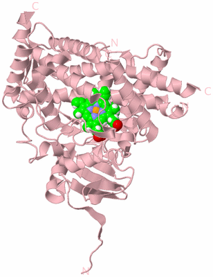 Image Biological Unit 3