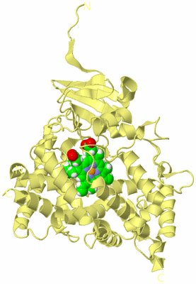 Image Biological Unit 4