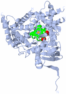 Image Biological Unit 1