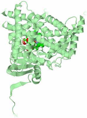 Image Biological Unit 2