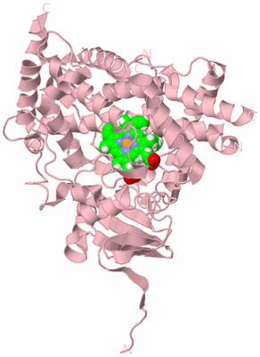 Image Biological Unit 3