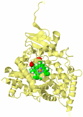 Image Biological Unit 4