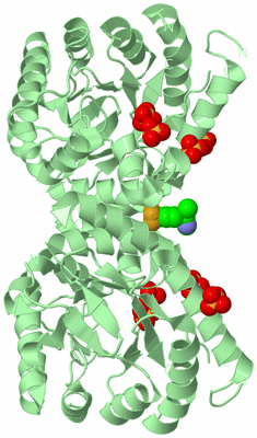 Image Biological Unit 2