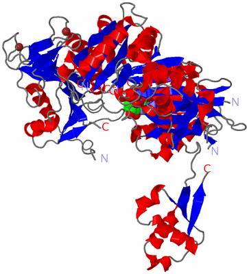 Image Asym./Biol. Unit