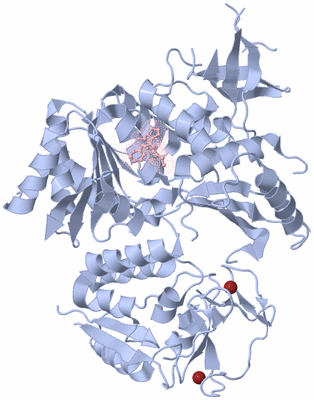 Image Biological Unit 1