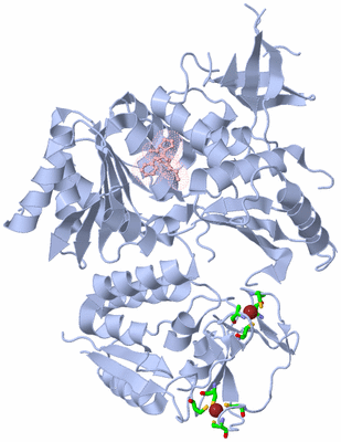 Image Biol. Unit 1 - sites