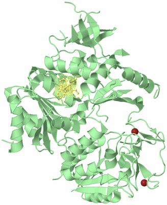 Image Biological Unit 2