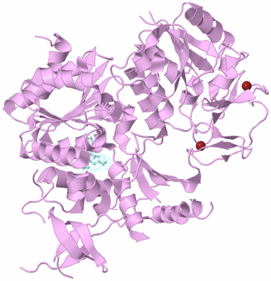 Image Biological Unit 3