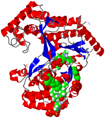 Image Asym./Biol. Unit