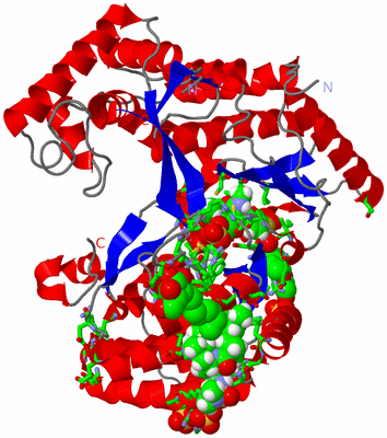 Image Asym./Biol. Unit - sites