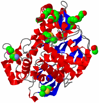 Image Asym./Biol. Unit