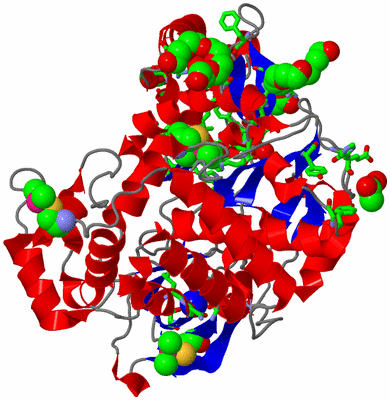 Image Asym./Biol. Unit - sites